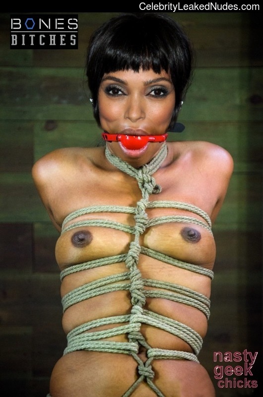 Tamara taylor nude